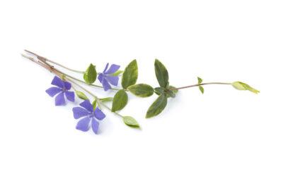 Cómo cuidar de tu escote y pecho